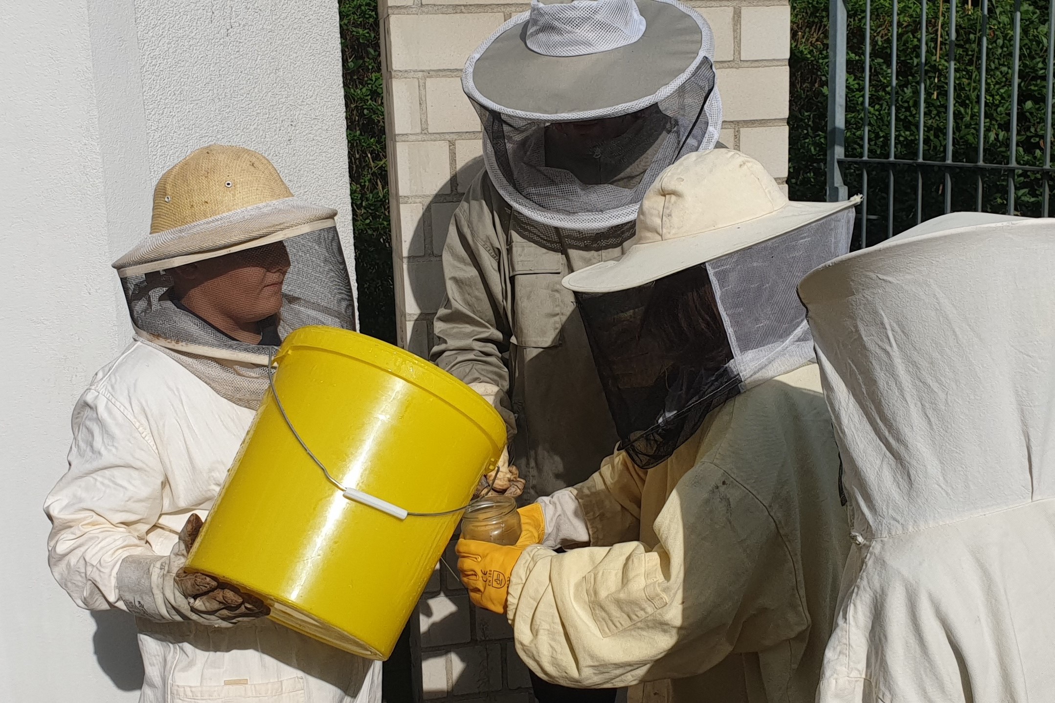 Schul-AG der KGS hegt und pflegt drei Bienenvölker